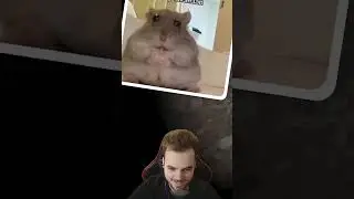 НЕ УНЫВАЙ 