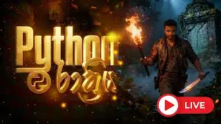 PYTHON NIGHT 🔥