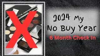 My NO BUY YEAR 6 month check in