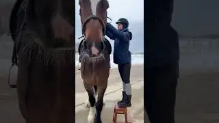 Самая большая порода 