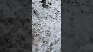 Тиньков утомил