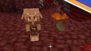 Exploring the New 1.16 Nether for the First Time! - Talon's Oasis - Ep 32
