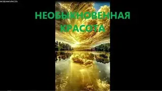 НЕОБЫКНОВЕННАЯ КРАСОТА