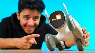 Gerçek Gibi ROBOT Köpek Aldım!