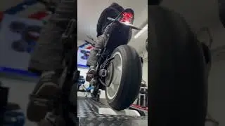 Kawasaki Z900 "Ken Block Tribute" X Quickshifter Translogic Intellishift ⚡