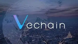 Different and Better World - What Is VeChain