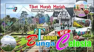 Wisata Taman Bunga Celosia Semarang