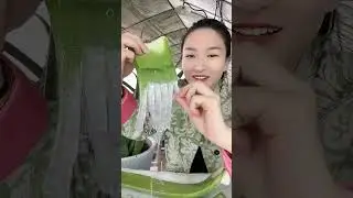 알로에베라를 먹어본 적 있나요吃 도시의 부자들이 즐겨 먹는 알로에 베라 시골 별미를 맛보고 싶나요