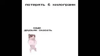 потерять 6 граммов #рекомендации #мем #кот