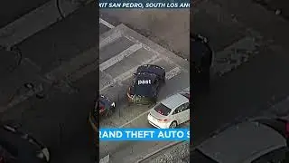 Car Thief Outsmarts The Police