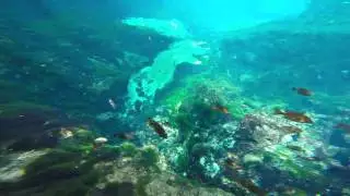 Withlacoochee River / Gum Slough / Gum Spring