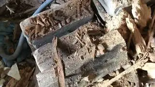 Вскрываем полы.