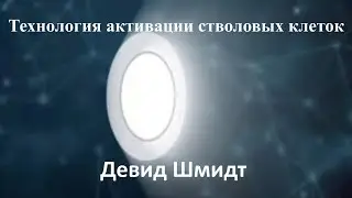 LifeWave История возникновения и технология активации пластырей