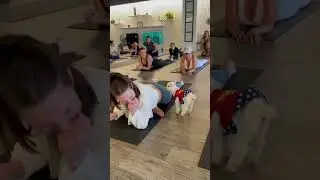 فيديوهات الماعز المضحكة التي ستجعلك تبتسم كل يوم! Funny goat videos 🐐😂