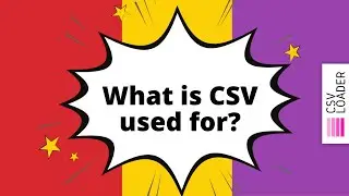 What is CSV used for?