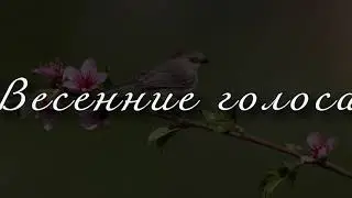 Отчетный концерт хорового класса ДШИ № 5 