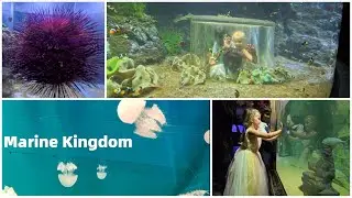 A Mermaid at Marine Kingdom- Raven's Birthday