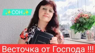 Всё !!! Теперь осталось дождаться, мой сон сегодня !!!
