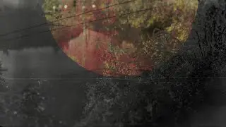 Paul Haslinger - Marienbad (Official Video)