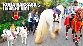 Naik KUDA PONI Kuda RAKSASA Kuda POLISI ~ NAIK DELMAN ISTIMEWA | Wisata Kuda Batu Secret Zoo Malang