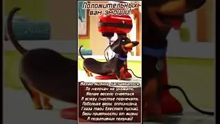 ПОЛОЖИТЕЛЬНЫХ ВАМ ЭМОЦИЙ!