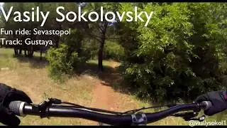 Vasily Sokolovsky - Gustaya ChestCam 2017