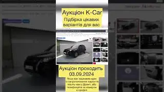 Підбірка цікавих варіантів з аукціонів Південної Кореї 03.09.2024.