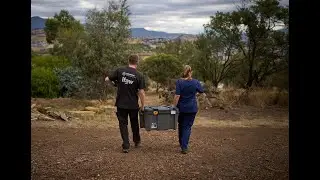 Wildlife Release Stories 2023