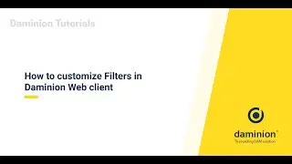 How to customize Filters in Daminion Web client