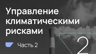 BRIF'21 Практические кейсы по управлению климатическими рисками (часть 2)