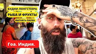 Наглый поход к соседке, выселение паука, и проблемы с интернетом в Гоа. Будни индийского лонгстеера.