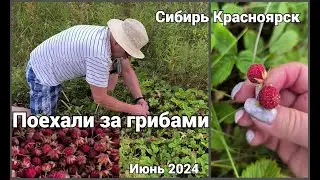 ВОТ МЫ ПОПАЛИ.....