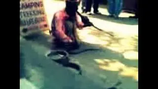 Cobraflute.