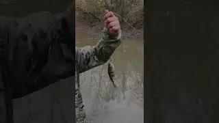 Самодельная рыбалка на окуня! 