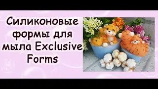 Обзор и заливка от 