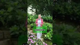Решаем финансовые проблемы 