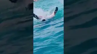 شيراز بوتفنوشات الصيف والبحر