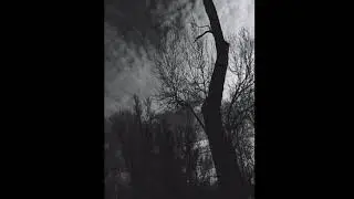 demo #7 merveist #dsbm #blackmetal #metal #music #demo
