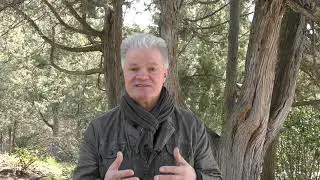 Арт-сосна,симпозиум художников в п .Новый свет,гостиничный комплекс"Новый Свет"