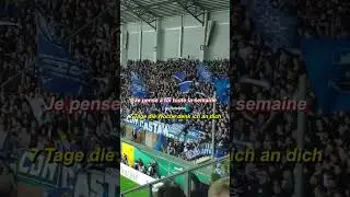 🇩🇪 𝗛𝗔𝗠𝗕𝗢𝗨𝗥𝗚 𝗦𝗩 🇩🇪