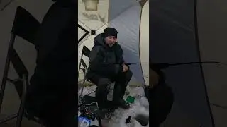На зимние в море