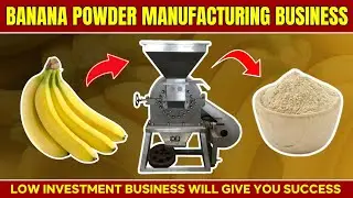 How to Start a Banana Powder Manufacturing Business with Low Investment