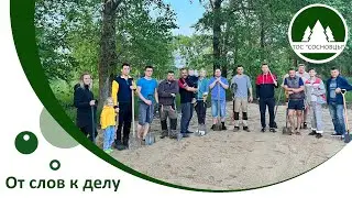 Трудовые будни Сосновцев 🌲