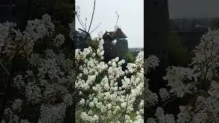 весна Баутцен