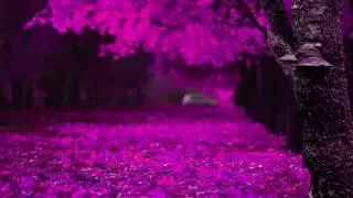 Pink gardern background video