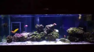 Feeding the 180