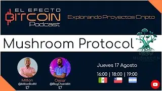 Conoce todo sobre Ciencias Descentralizadas con los fundadores de 