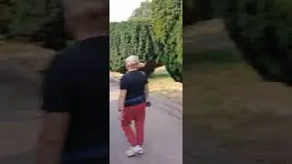 Al cimitero