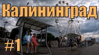 #3 МыЖЕнаТЫ | Не снимайте жильё в Светлогорске ближайшие 2 года