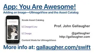 Ch. 2.6 Adding Images to an App: UIImageView, UIImage, and the Asset Catalog   Swift Book v4